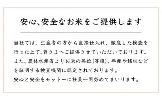 スピード発送!! 【 令和7年産 】 茨城県産 にじのきらめき 20kg ( 5kg × 4袋 ) 米 お米 コメ 白米 にじのきらめき 茨城県 精米 新生活 応援 新米 スピード配送 [DK023ci]