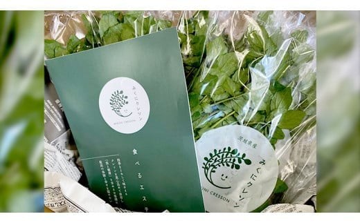 みくにクレソン100g×10袋 美容 健康 野菜 スーパーフード クレソン [CY003ci]