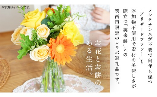 【 筑西市 ふるさと納税限定 コラボ 】 《 花色 おまかせ プリザーブド フラワー S 》《 笑来餅 2個 セット（白2個） 》 アレンジメント 生花 ギフト プレゼント 誕生日 記念日 敬老 餅 もち もち米 [ZZ048ci]