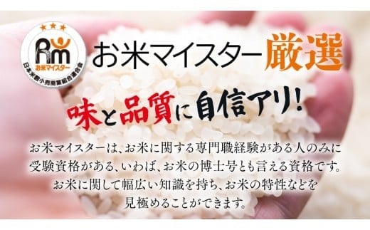 【 定期便 3ヶ月 】 茨城県 筑西市産 コシヒカリ 10kg ( 5kg × 2袋 ) 令和7年産 新米 三ツ星 マイスター 米 コメ こしひかり 定期便3回 30kg 茨城県 単一米 精米 新生活 応援 [CH008ci] コシヒカリ 定期便3ヶ月 10kg