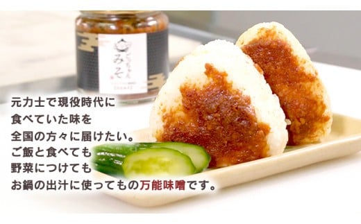 ごっちゃんみそ 味噌 国産 日本産 安心 安全 セット 甘口 辛口 詰め合わせ 詰合せ 調味料[CR001ci]