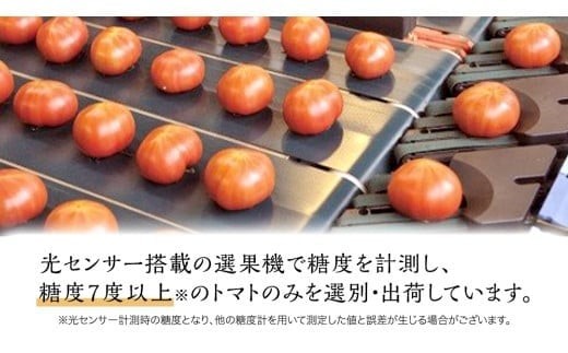 超大玉 フルーツトマト 大箱 約2.8kg × 1箱 【14～18玉/1箱】 2026年産 糖度7度 以上 野菜 フルーツ トマト とまと [AF008ci]