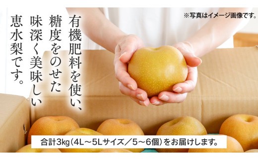 【 先行予約 】箱守果樹園 直送！ 恵水梨 3kg なし 梨 果実 果物 フルーツ [DE003ci]