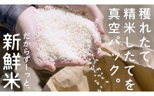 食べくらべ　精米 4種　真空1800g×4袋 令和7年産 米 お米 コメ 茨城県 新生活 応援 コシヒカリ ミルキープリンセス にじのきらめき つきあかり 食べ比べ　 [EX005ci] 【単品】1800g×4袋