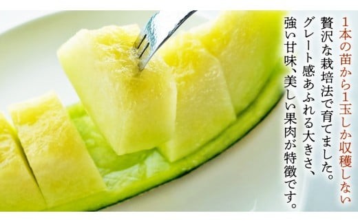 完熟 アールスメロン 3玉 2026年産 先行予約 メロン マスクメロン 青肉 果物 フルーツ 茨城県産 期間限定 数量限定 [AF004ci]