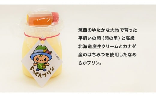 ちっくんプリン 12個セット [BW021ci]