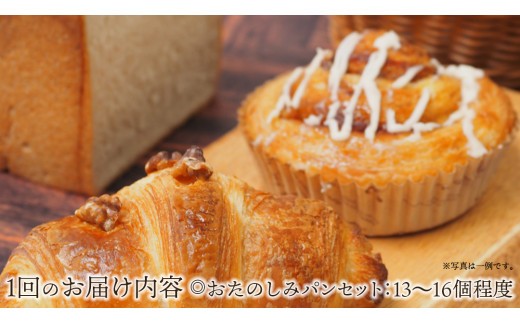 【 6ヶ月 定期便 】まごころいっぱい！ パン工房しらとり 「 種類いっぱい♪ 」 おたのしみパン ボックス 【B】 冷凍 パン 詰め合わせ ボックス ギフト お楽しみ [AU015ci]