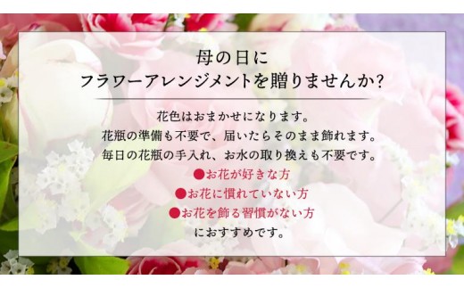 【 母の日 】 フラワー アレンジメントS 花色おまかせ ギフト プレゼント 花 お祝い 贈答 記念日 [CT081ci]