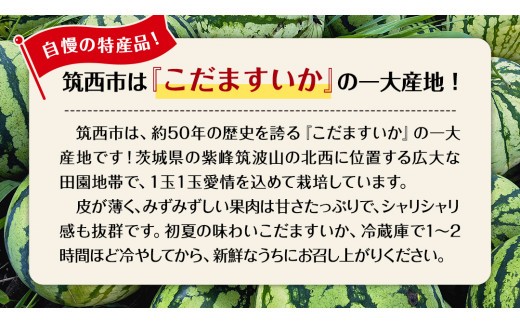 【 JA北つくば 】 こだますいか 「 スウィートキッズ 」 4～5玉 2026年産 スイカ 果物 フルーツ [AE006ci]