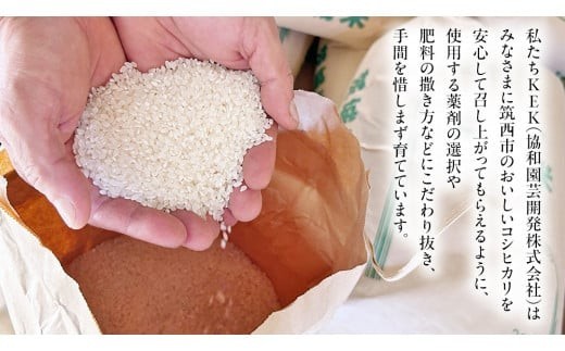 茨城県 筑西市産 コシヒカリ 精白米 10kg 令和7年産 単一原料米 精米 米 お米 コメ 白米 こしひかり 茨城県 [AF103ci]
