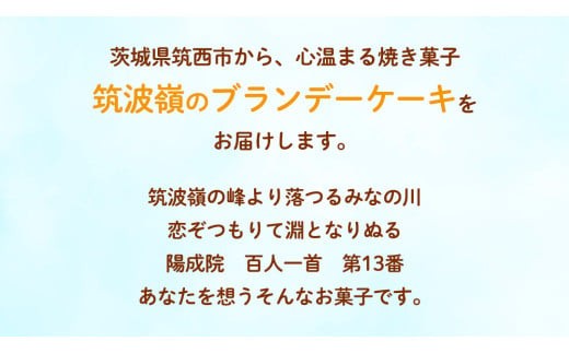 筑波嶺 の ブランデー ケーキ 1箱(6個入) ブランデーケーキ お菓子 おかし 菓子 銘菓 焼き菓子 [AT008ci]