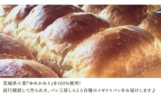 【 3ヶ月 定期便 】茨城県産 小麦の イギリスパン 2斤 2本 セット 食パン パン 小麦 冷凍 プレゼント ギフト [AU018ci]