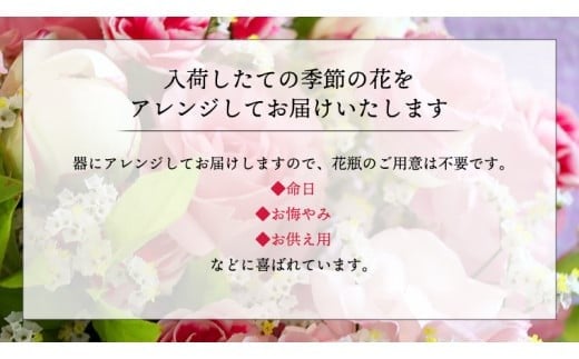 ≪ギフト≫季節のお花の仏花アレンジメントミニ アレンジメント 仏花 生花 お供え ギフト プレゼント 命日 月命日[CT025ci] 単品1回：ミニサイズ