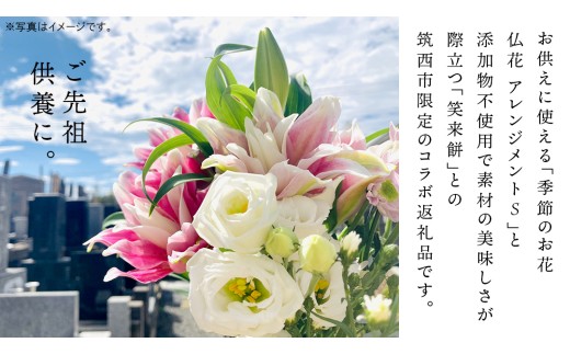【 筑西市 ふるさと納税限定 コラボ 】 《 季節のお花の仏花アレンジメントS 》《 笑来餅 2個 セット（白2個） 》 アレンジメント 生花 ギフト プレゼント 誕生日 記念日 敬老 餅 もち もち米 [ZZ049ci]