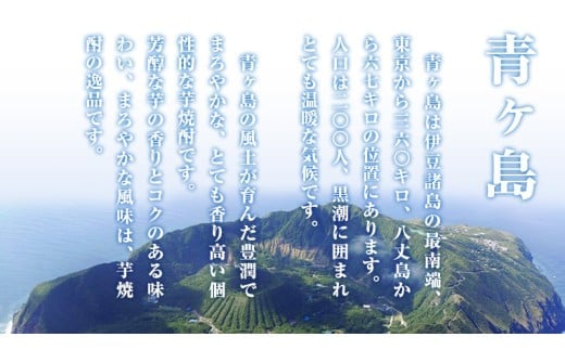 まぼろしの 芋焼酎 青酎 （ 筑西市産 井上さつま 使用 ） 3本セット 焼酎 芋 贈答 ギフト 青ヶ島酒造 お酒 酒 アルコール [BW073ci]