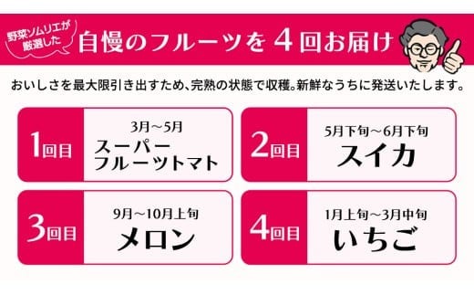 【 野菜ソムリエ 厳選 】 旬 の フルーツ 定期便 ( フルーツトマト スタート ) 4回 先行予約 果物 いちご イチゴ 苺 とちおとめ やよいひめ かおり野 すいか 小玉スイカ ピノガール トマト フルーツトマト メロン アールスメロン 新鮮 おすすめ ソムリエ 野菜 [AF095ci]