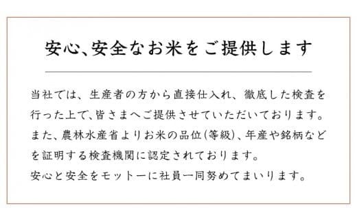 スピード発送!! 【 令和7年産 】 茨城県産 コシヒカリ 20kg ( 5kg × 4袋 ) 米 お米 白米 コメ こしひかり 茨城県 精米 新生活 応援 新米 スピード配送 [DK004ci]