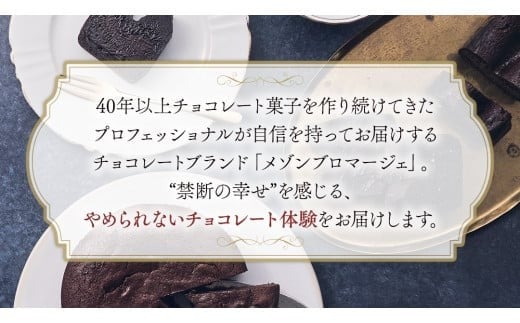【 禁断の幸せ 】 フォンダンショコラ チョコ チョコレート 生チョコ ショコラ ケーキ デザート スイーツ 贈り物 贈答 ギフト バレンタイン ホワイトデー [CS006ci]