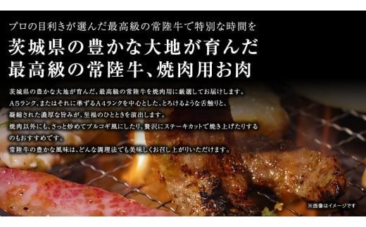 【 常陸牛 】 焼肉用 500g 茨城県共通返礼品 化粧箱入り A4 A5 ブランド牛 国産 牛肉 肉 お肉 黒毛和牛 和牛 ギフト 贈答 [AD009ci]
