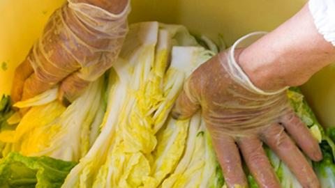 ばあちゃんの古漬け詰合せ[BJ002ci]