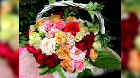 バラ「香りのバラアレンジメント」（バラ風呂・バラジャム対応）[BN004ci]