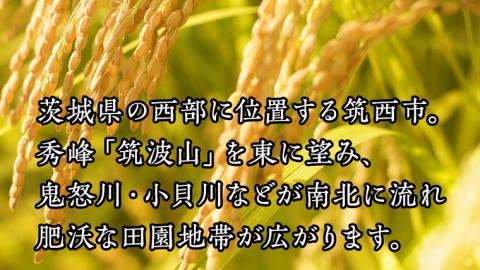 【 定期便 3ヶ月 】 茨城県筑西市産 コシヒカリ15kg 三ツ星 マイスター 米 コメ コシヒカリ こしひかり [CH016ci]