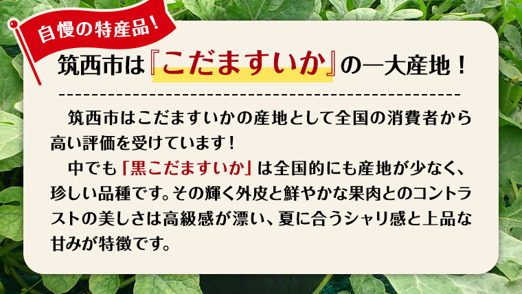 【 JA北つくば 】 黒こだますいか 「 誘惑のひとみ 」 4〜5玉 2026年産 スイカ 果物 フルーツ 小玉スイカ 小玉 西瓜 くだもの デザート 茨城 [AE004ci]