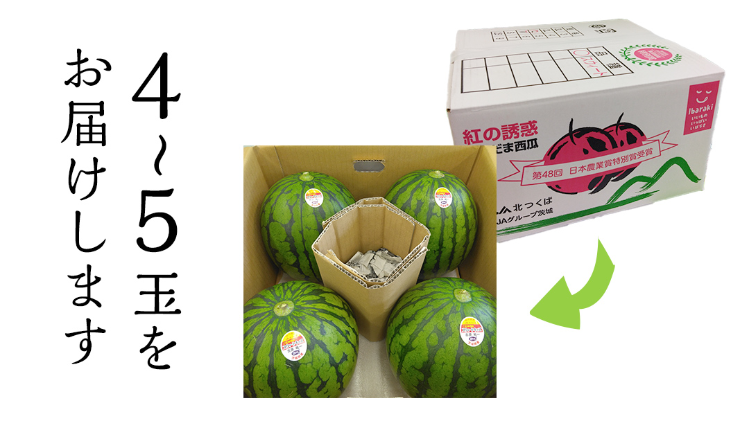 【 JA北つくば 】 こだますいか 「 スウィートキッズ 」 4～5玉 2026年産 スイカ 果物 フルーツ [AE006ci]