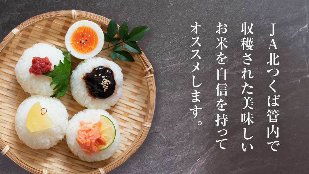【 定期便 6ヶ月 】 JA北つくば 茨城県産 コシヒカリ 10kg ( 5kg × 2袋 ) 令和6年産 農協 JA 米 お米 白米 コメ こしひかり 茨城県 精米 新生活 応援 [AE049ci]