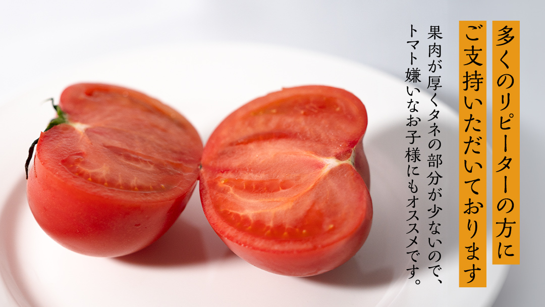 フルーツトマト 大箱 約2.6kg × 2箱 【大玉 20～35玉/1箱】 2026年産 糖度7度 以上 野菜 フルーツ トマト とまと [AF073ci]