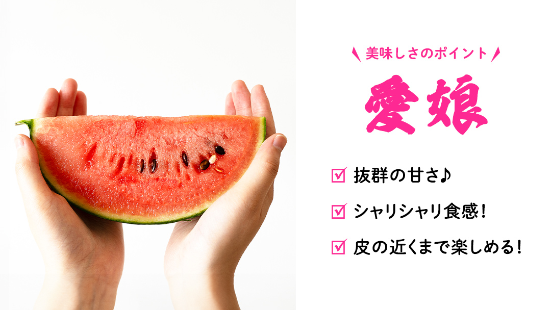 【 訳あり 】 こだますいか 「 愛娘 」 2玉 2026年産 先行予約 筑西ブランド こだまスイカ 小玉スイカ すいか スイカ フルーツ 果物 [AF084ci]