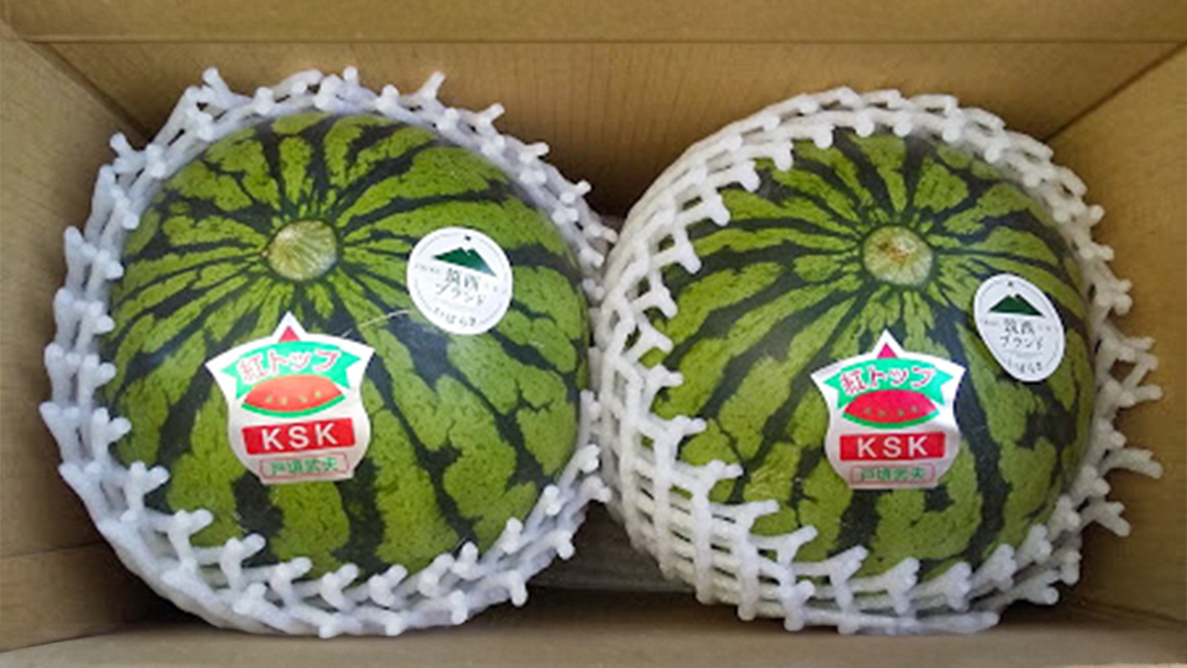 【 先行予約 】 希少品種 「 紅トップ 」 茨城県産 小玉 すいか 2玉入り 2Lサイズ スイカ [AG005ci]