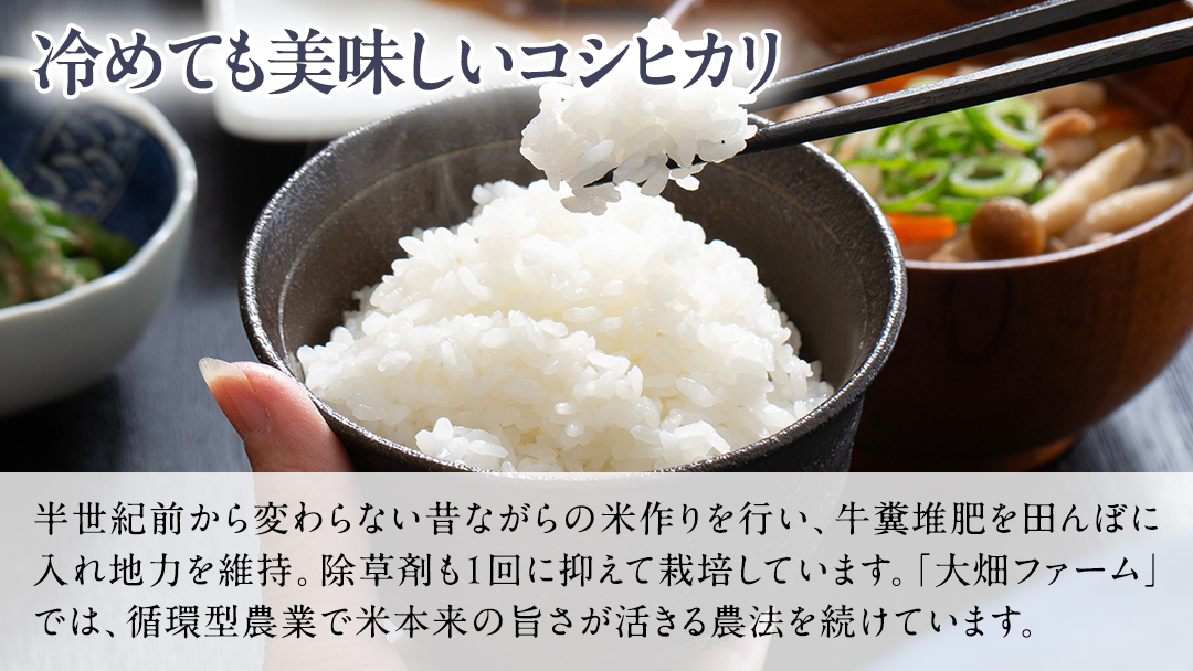 【 ファーム大畑 】お楽しみセット 米 お米 しいたけパウダー しいたけ 椎茸 まろ福しいたけ きくらげ [AK001ci]