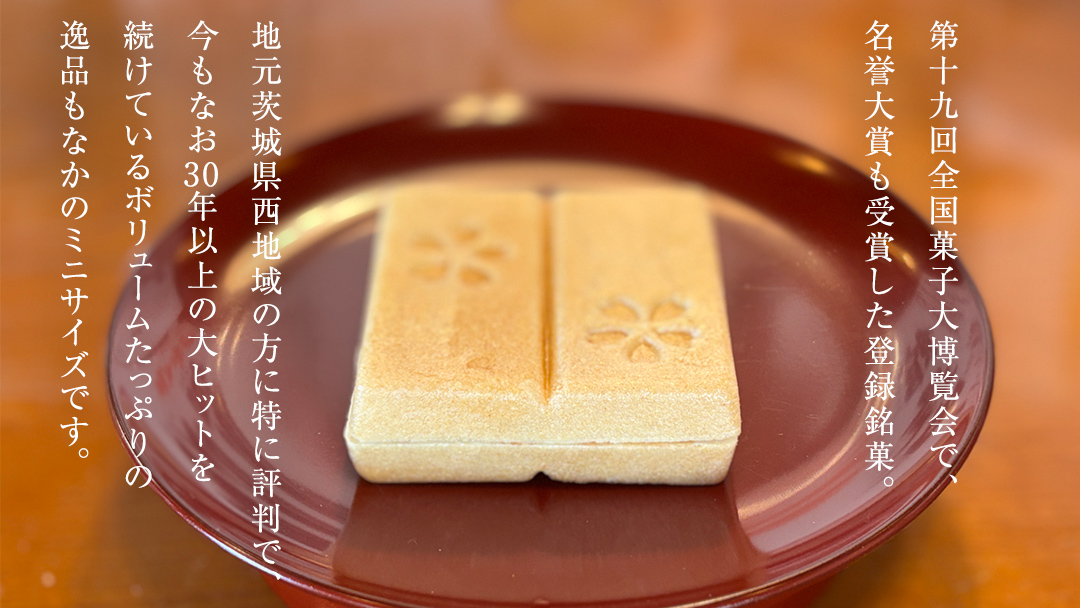 もち入り 「 館最中 」 3個 ( ミニサイズ ) 2000円 ポッキリ 全国菓子大博覧会名誉大賞 和菓子 おかし お菓子 最中 もなか あんこ 餡子 小豆 あずき 餅 お餅 もち [AO024ci]