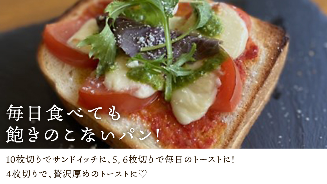 【 6ヶ月 定期便 】茨城県産 小麦の イギリスパン 2斤 2本 セット 食パン パン 小麦 冷凍 プレゼント ギフト [AU019ci]