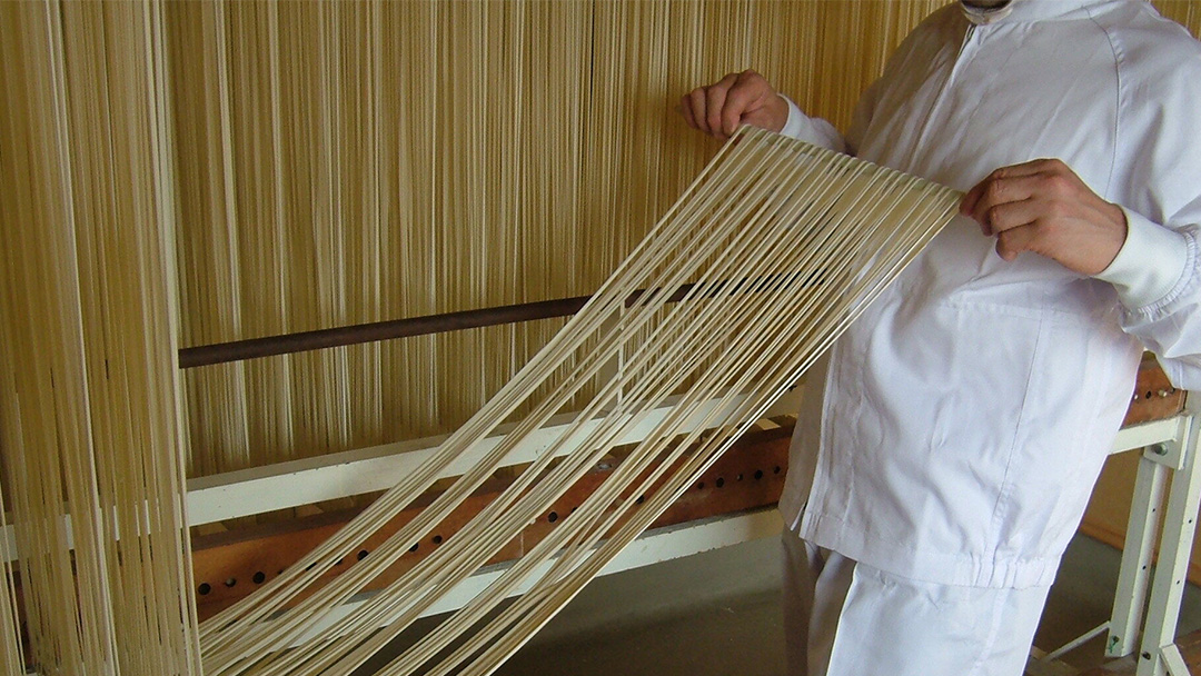 手延べうどん 半生手なえ 2袋 ( 4人前 ) スープ付き 麺 めん 半生 [BE008ci]