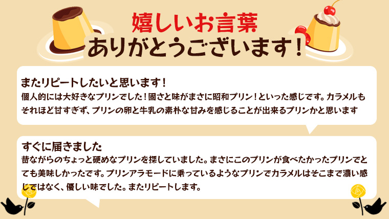 【ODEKAKE LADY】 レトロプリン ６個セット 贅沢 平飼い卵 昔プリン ぷりん 洋菓子 お菓子 スイーツ デザート [BW068ci]