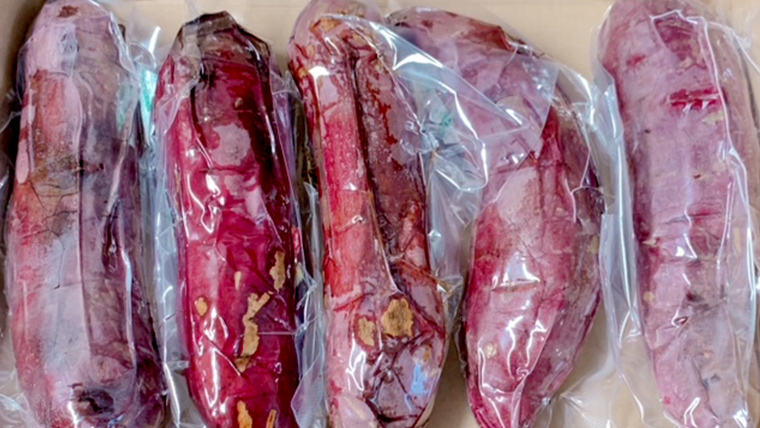 【 お中元 熨斗付き 】 茨城県産 冷凍 焼き芋 約1.5kg イモ いも さつま芋 サツマイモ さつまいも お菓子 スイーツ 中元 贈り物 ギフト [CO001ci]