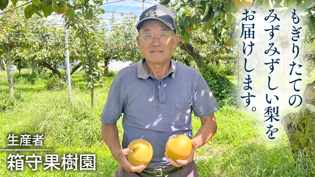 【 先行予約 】箱守果樹園 直送！ 恵水梨 3kg なし 梨 果実 果物 フルーツ [DE003ci]