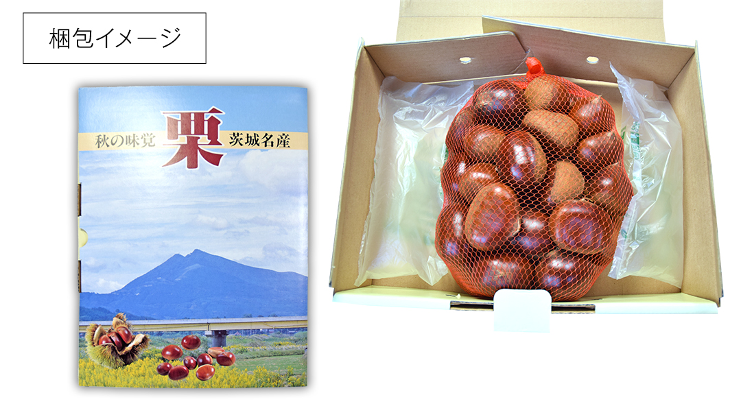 【 谷口農場 】 つやつや 大粒 熟成 生栗 1kg ( 3Lサイズ ) 完熟 栗 くり クリ 栗ごはん 果物 フルーツ　数量限定 [EC002ci]