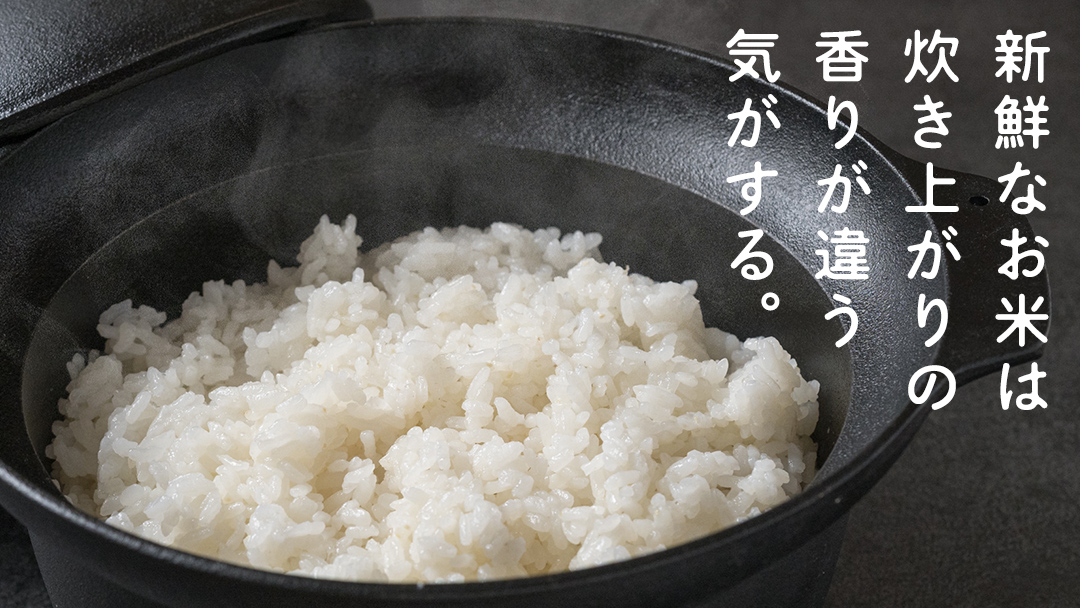 食べくらべ　精米 4種　真空 2700g ×４袋 令和7年産 米 お米 コメ 茨城県 新生活 応援 コシヒカリ ミルキープリンセス にじのきらめき つきあかり 食べ比べ　 [EX003ci]