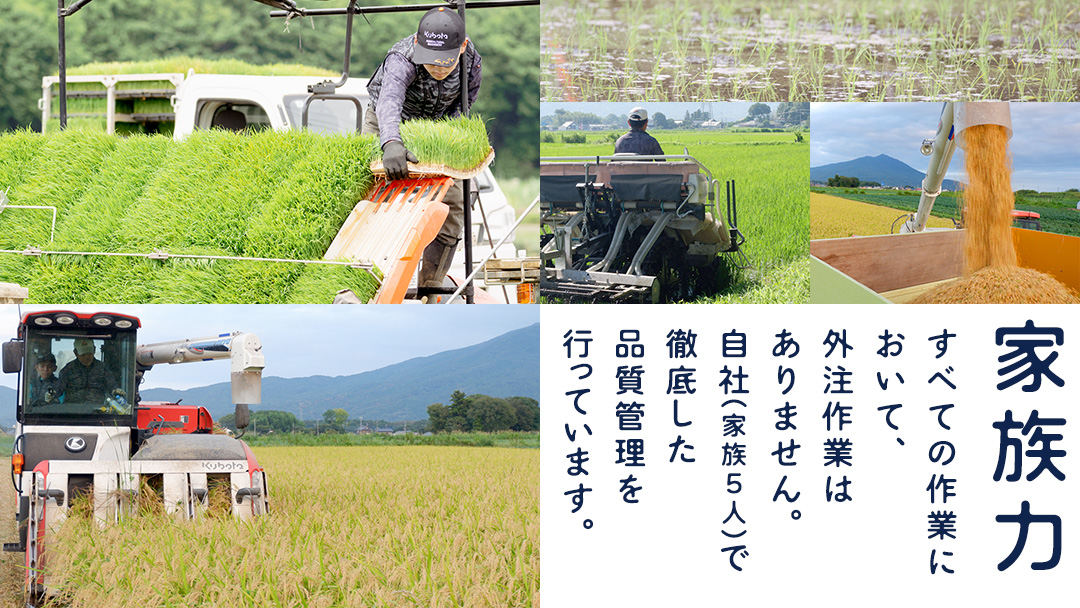 コシヒカリ 精米 5kg ＆ にじのきらめき 精米 5kg  令和7年産 米 お米 コメ 白米 茨城県 新生活 応援 [EX009ci]