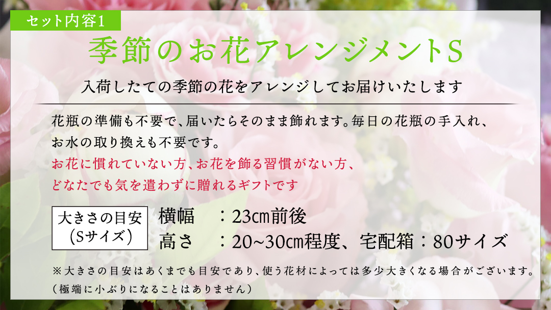 【 筑西市 ふるさと納税限定 コラボ 】 《 季節のお花アレンジメントS 》《 笑来餅 2個 セット（白2個） 》 アレンジメント 生花 ギフト プレゼント 誕生日 記念日 敬老 餅 もち もち米 [ZZ047ci]