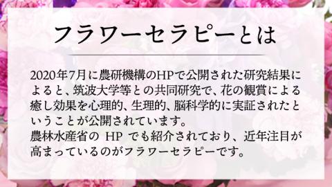 癒し の フラワー セラピー アレンジメント Lサイズ お花 花 はな アレンジ リラックス リフレッシュ ストレス [CT126ci]