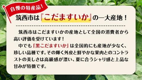 【 JA北つくば 】 黒こだますいか 「 誘惑のひとみ 」 2玉 2026年産 小玉すいか 小玉 すいか スイカ 果物 フルーツ 小玉スイカ 小玉 西瓜 くだもの デザート 茨城 [AE018ci]