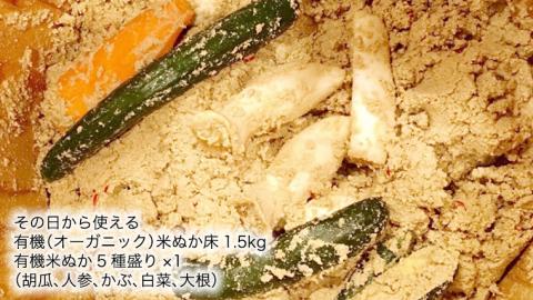 【 筑西市 ふるさと納税限定 コラボ 】 《 来福酒造 蔵元セレクション 純米吟醸 2本セット》《 菜香や 米ぬか床 と ぬか漬けセット 》 飲み比べ 日本酒 米ぬか 限定 コラボ [ZZ011ci]