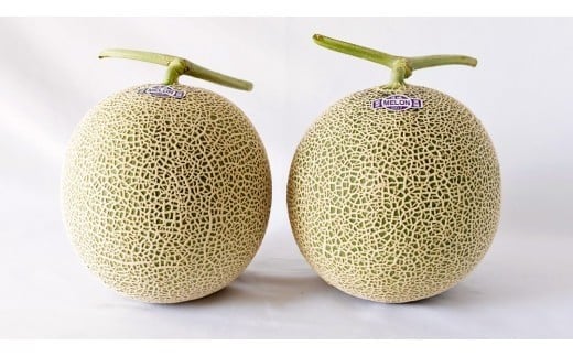 完熟 アールスメロン 3玉 2026年産 先行予約 メロン マスクメロン 青肉 果物 フルーツ 茨城県産 期間限定 数量限定 [AF004ci]