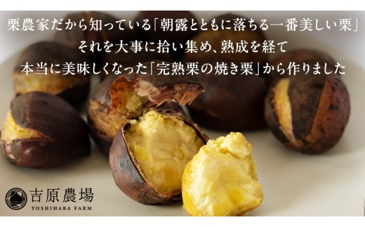 栗きんとん 「 栗の深雫 」 2箱 ～くりのしずく～ 12個 完熟 栗 くり クリ 和菓子 おかし お菓子 贈り物 ギフト 果物 フルーツ 秋 冬 [CX022ci]