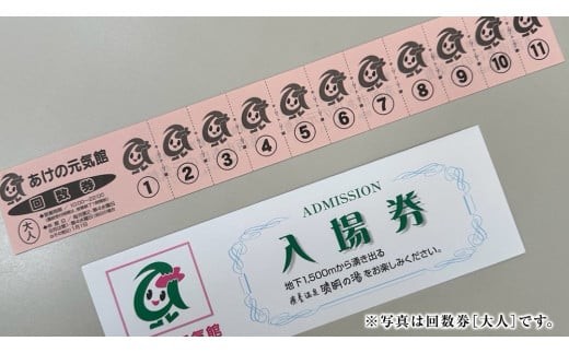 あけの元気館 利用回数券 11回分（ 小人 ） 利用券 施設利用券 回数券 チケット 晴明の湯 温水プール トレーニングジム [ER003ci]