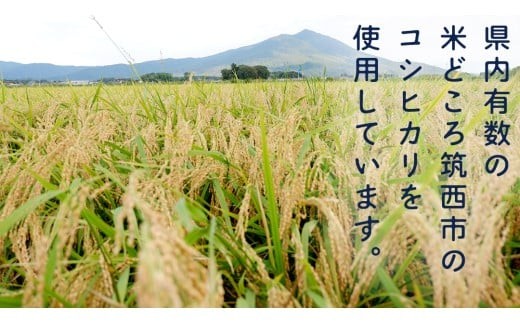 無洗米 コシヒカリ 真空 300g ( 2合 ) × 15袋 令和7年産 米 お米 コメ 茨城県 コシヒカリ こしひかり 新生活 応援 [EX001ci]
